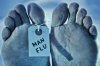 man-flue-11.jpg