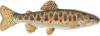 redband-trout.gif